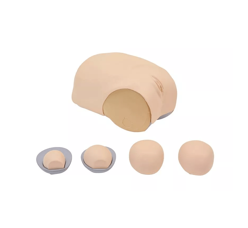 Simulator zur Uterus - Rückbildungsuntersuchung - Erler - Zimmer